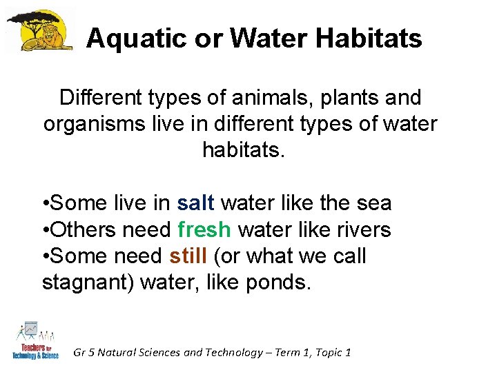 Aquatic or Water Habitats Different types of animals, plants and organisms live in different Aquatic or Water Habitats Different types of animals, plants and organisms live in different