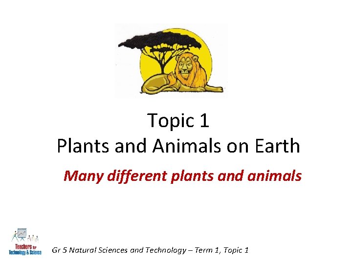 Topic 1 Plants and Animals on Earth Many different plants and animals Gr 5 Topic 1 Plants and Animals on Earth Many different plants and animals Gr 5