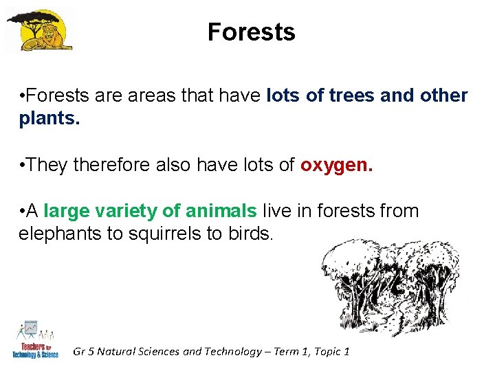Forests • Forests areas that have lots of trees and other plants. • They Forests • Forests areas that have lots of trees and other plants. • They