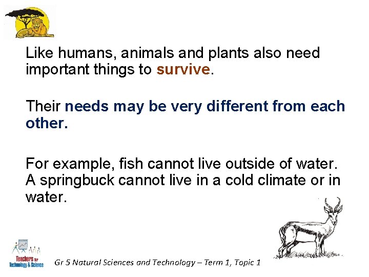 Like humans, animals and plants also need important things to survive. Their needs may Like humans, animals and plants also need important things to survive. Their needs may