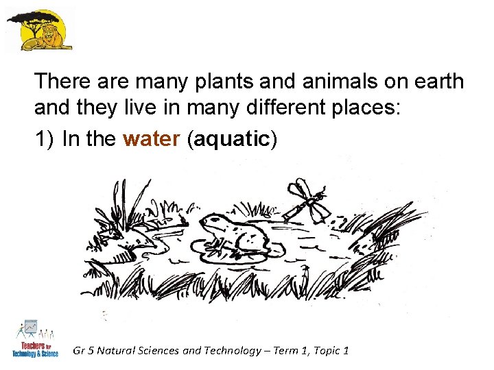 There are many plants and animals on earth and they live in many different There are many plants and animals on earth and they live in many different