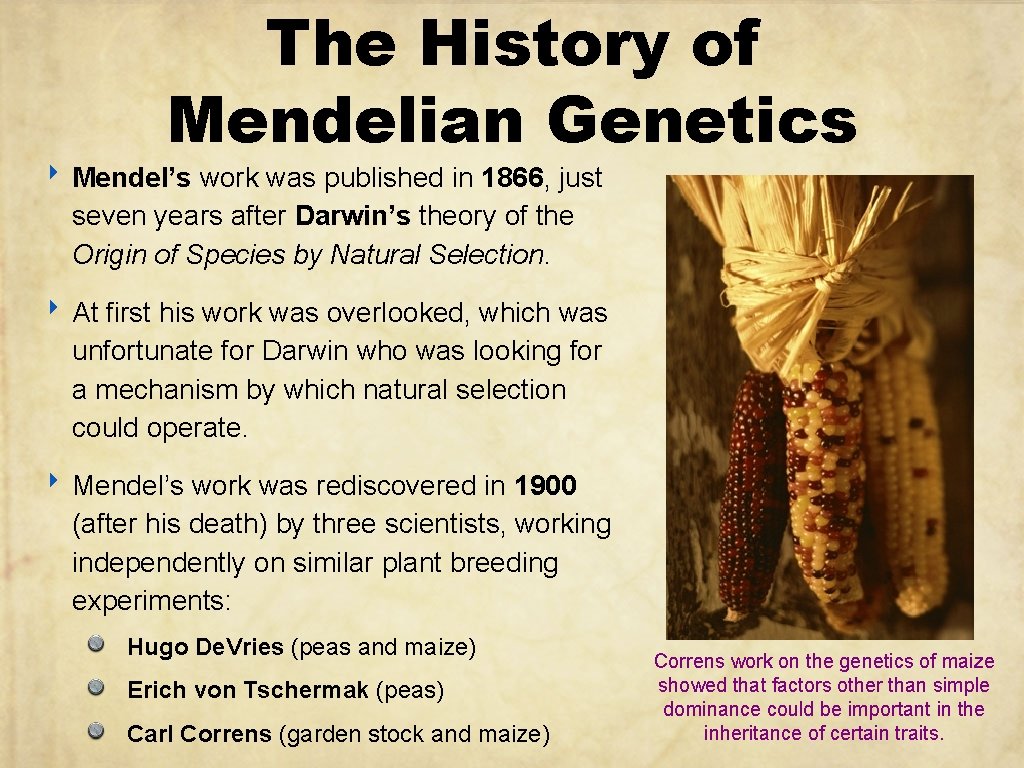 The History of Mendelian Genetics ‣ Mendel’s work was published in 1866, just seven