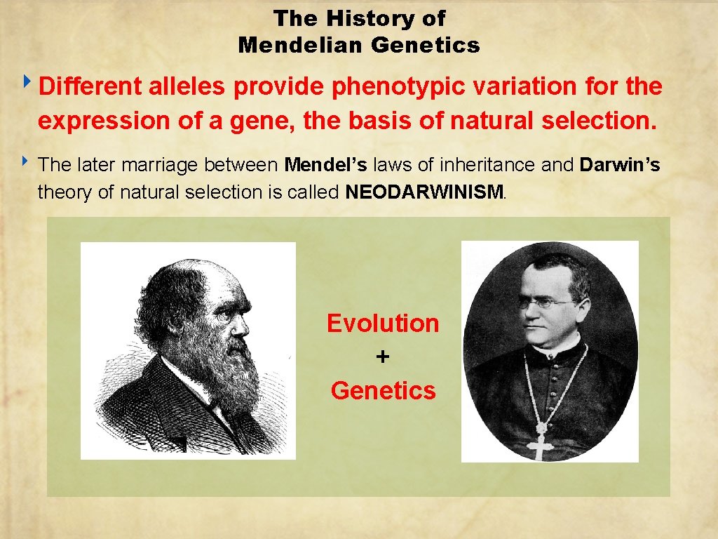 The History of Mendelian Genetics ‣ Different alleles provide phenotypic variation for the expression