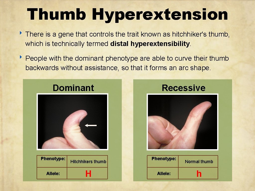 Thumb Hyperextension ‣ There is a gene that controls the trait known as hitchhiker's