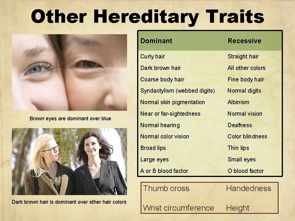 Other Hereditary Traits Brown eyes are dominant over blue Dark brown hair is dominant