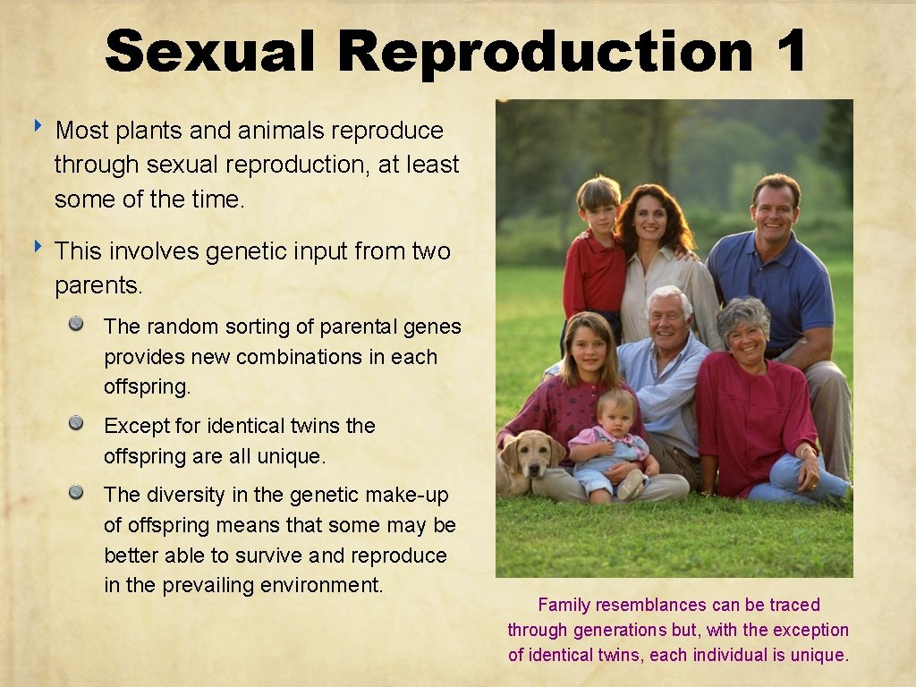 Sexual Reproduction 1 ‣ Most plants and animals reproduce through sexual reproduction, at least