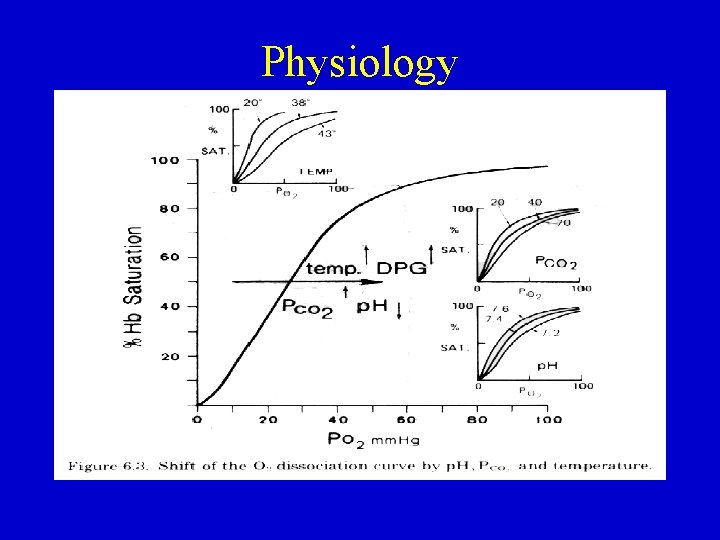 Physiology 