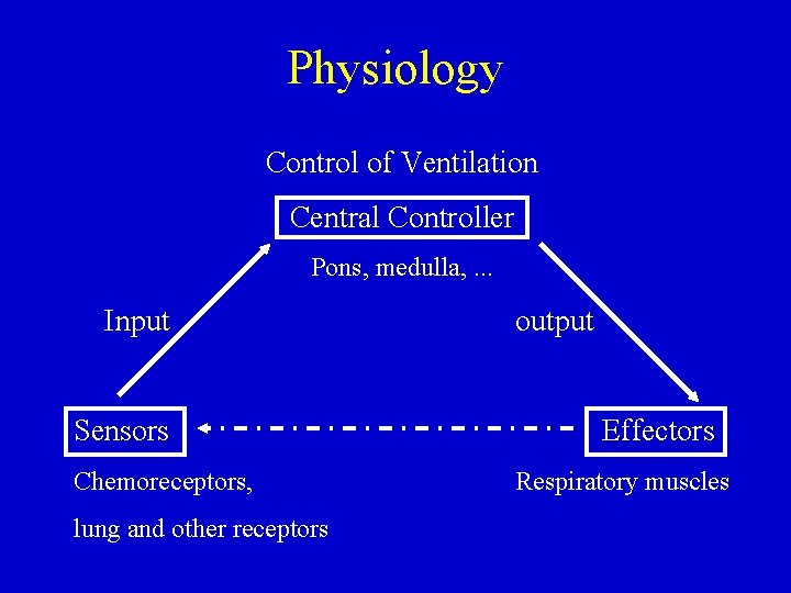 Physiology Control of Ventilation Central Controller Pons, medulla, . . . Input Sensors Chemoreceptors,