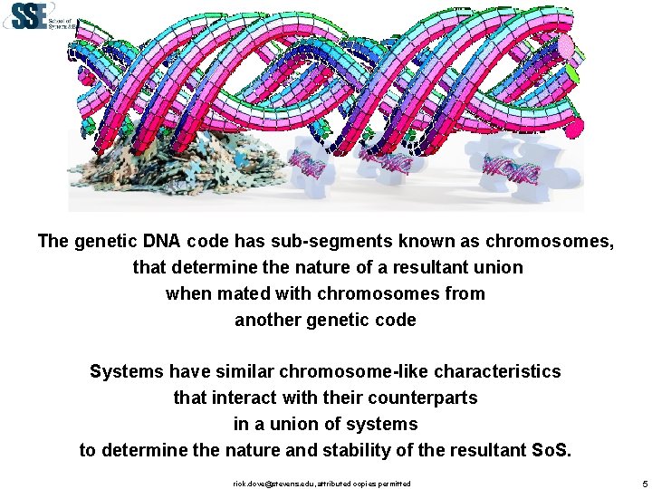 The genetic DNA code has sub-segments known as chromosomes, that determine the nature of