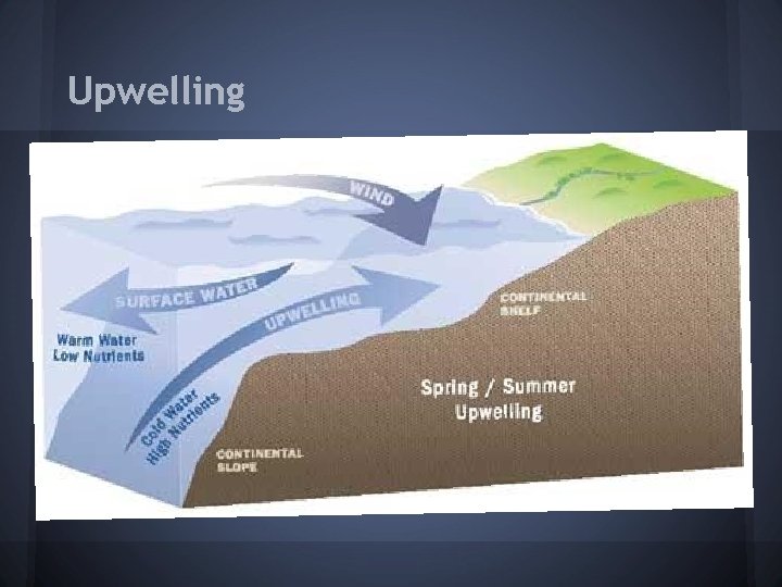 Upwelling 