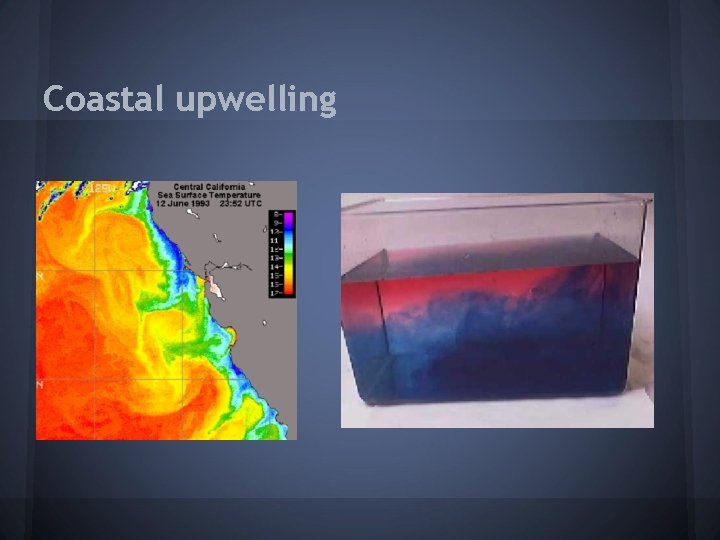 Coastal upwelling 