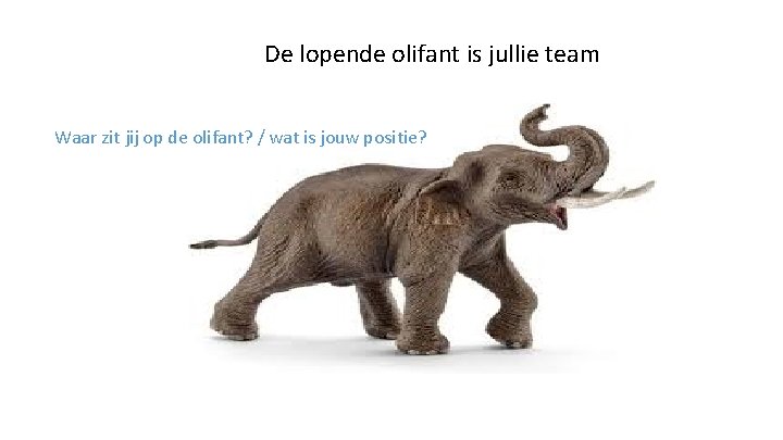 De lopende olifant is jullie team Waar zit jij op de olifant? / wat