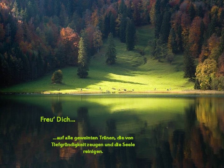 Freu‘ Dich… …auf alle geweinten Tränen, die von Tiefgründigkeit zeugen und die Seele reinigen.