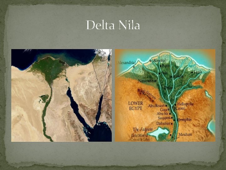 Delta Nila 