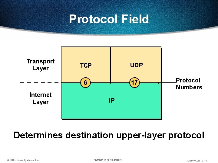 Protocol Field Transport Layer UDP TCP 6 Internet Layer 17 Protocol Numbers IP Determines