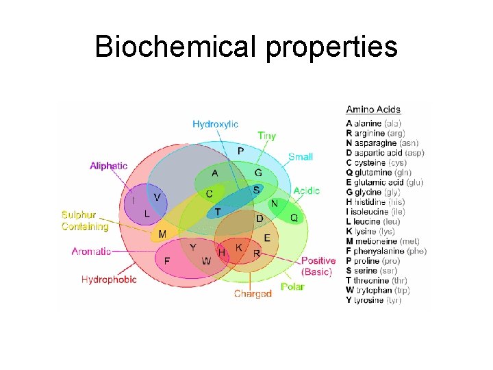 Biochemical properties 