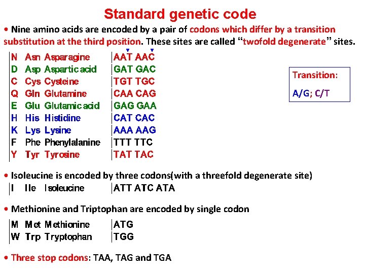 Standard genetic code • Nine amino acids are encoded by a pair of codons