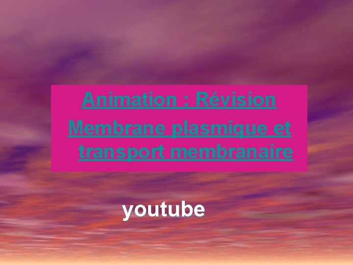 Animation : Révision Membrane plasmique et transport membranaire youtube 