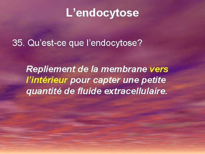 L’endocytose 35. Qu’est-ce que l’endocytose? Repliement de la membrane vers l’intérieur pour capter une