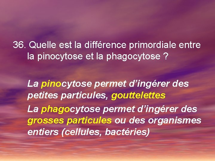 36. Quelle est la différence primordiale entre la pinocytose et la phagocytose ? La