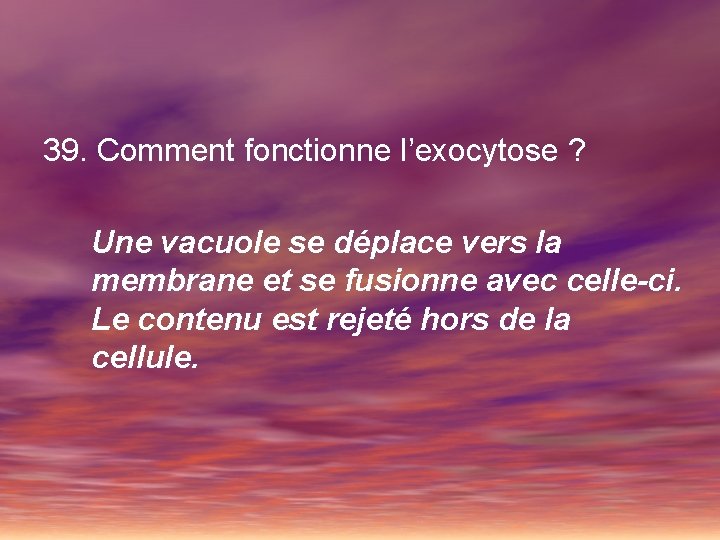 39. Comment fonctionne l’exocytose ? Une vacuole se déplace vers la membrane et se