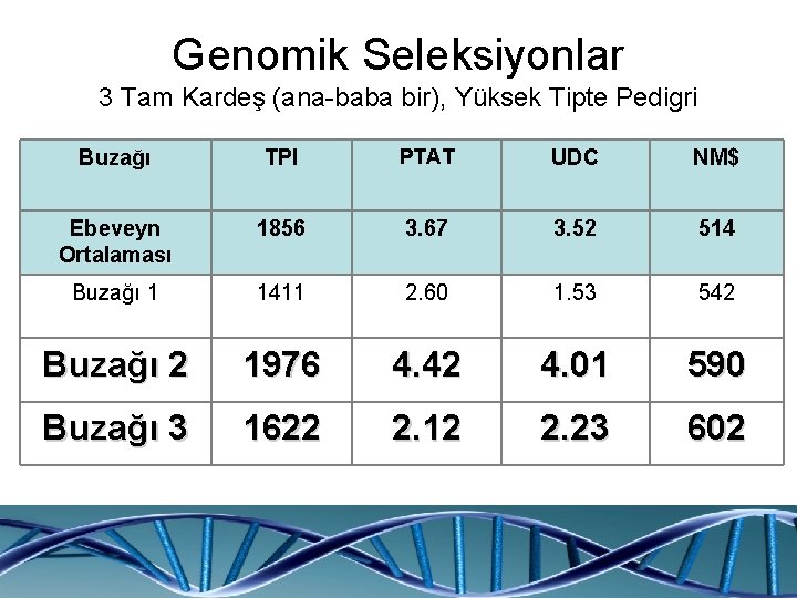 Genomik Seleksiyonlar 3 Tam Kardeş (ana-baba bir), Yüksek Tipte Pedigri Buzağı TPI PTAT UDC