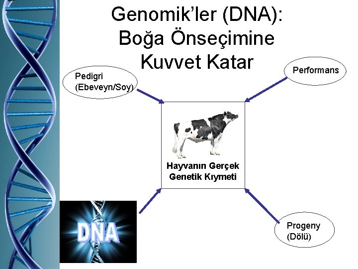 Genomik’ler (DNA): Boğa Önseçimine Kuvvet Katar Pedigri (Ebeveyn/Soy) Performans Hayvanın Gerçek Genetik Kıymeti Progeny