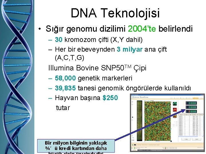 DNA Teknolojisi • Sığır genomu dizilimi 2004’te belirlendi – 30 kromozom çifti (X, Y