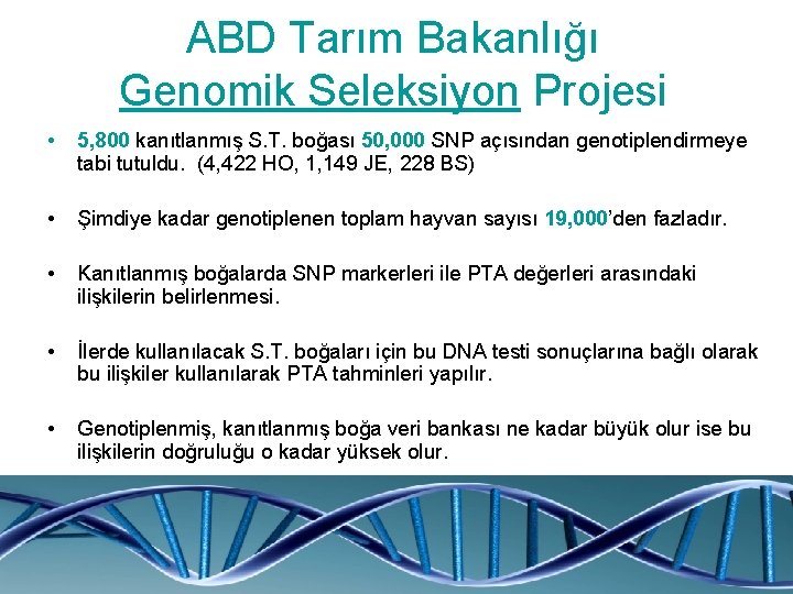 ABD Tarım Bakanlığı Genomik Seleksiyon Projesi • 5, 800 kanıtlanmış S. T. boğası 50,