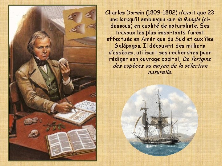 Charles Darwin (1809 -1882) n’avait que 23 ans lorsqu’il embarqua sur le Beagle (cidessous)