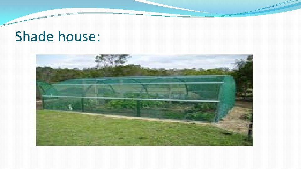Shade house: 