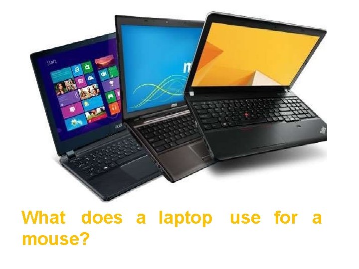 What does a laptop use for a mouse? 