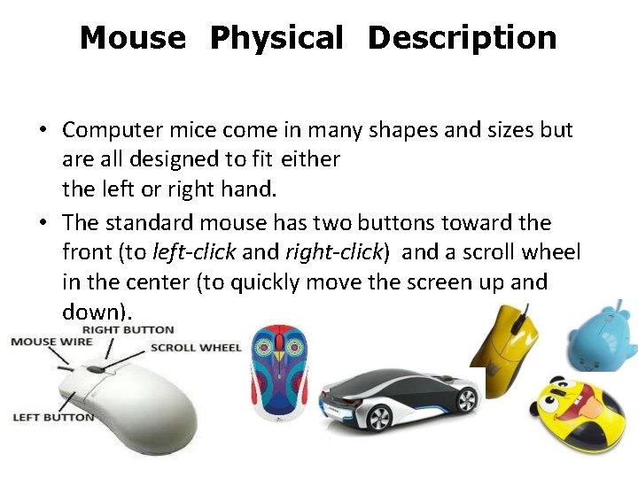 Mouse Physical Description • Computer mice come in many shapes and sizes but are