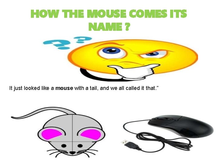 HOW THE MOUSE COMES ITS NAME ? It just looked like a mouse with