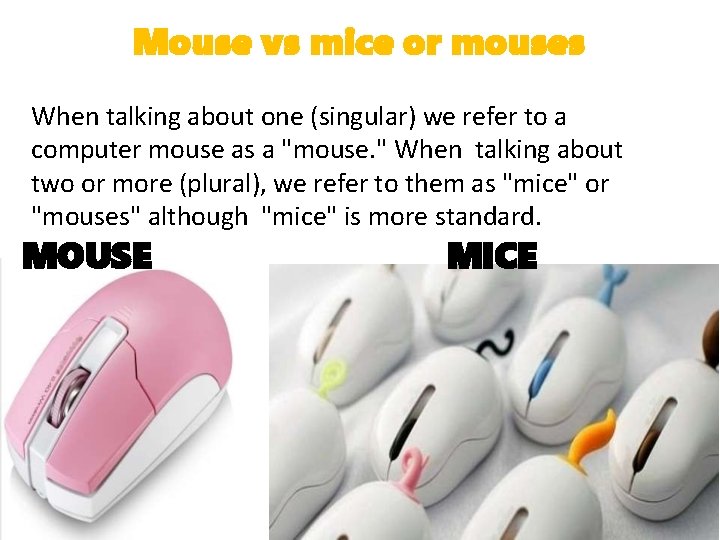 Mouse vs mice or mouses When talking about one (singular) we refer to a