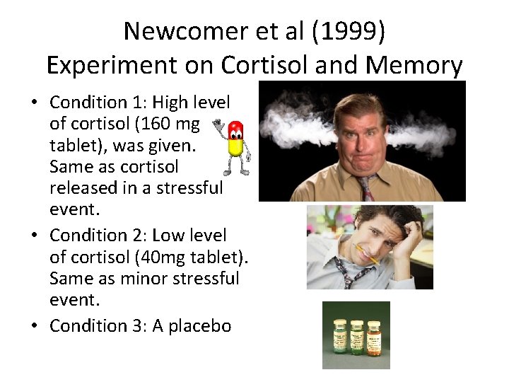 Newcomer et al (1999) Experiment on Cortisol and Memory • Condition 1: High level