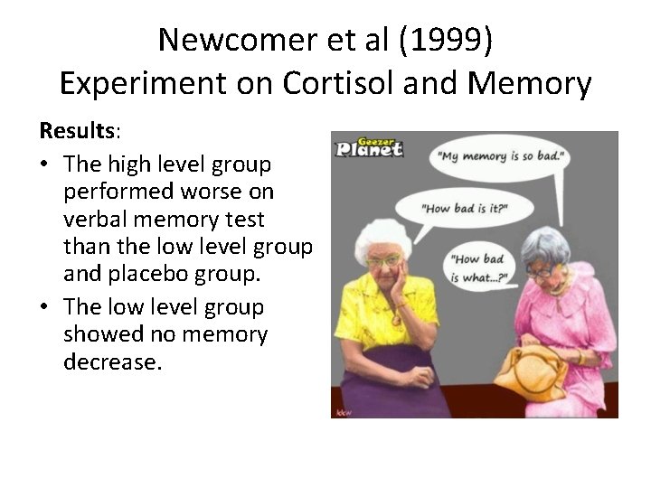 Newcomer et al (1999) Experiment on Cortisol and Memory Results: • The high level
