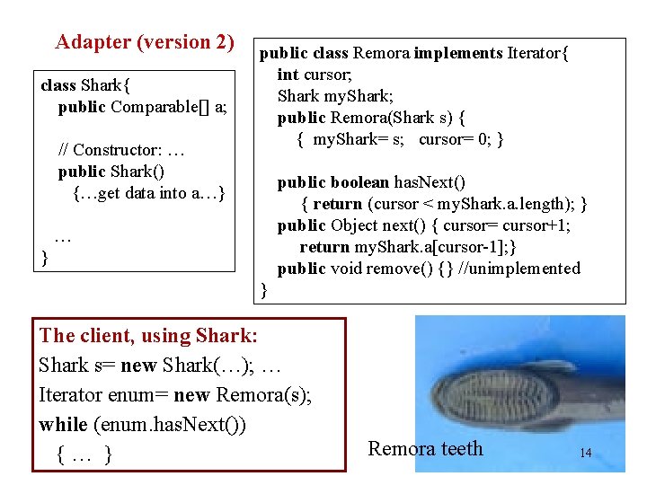 Adapter (version 2) class Shark{ public Comparable[] a; // Constructor: … public Shark() {…get
