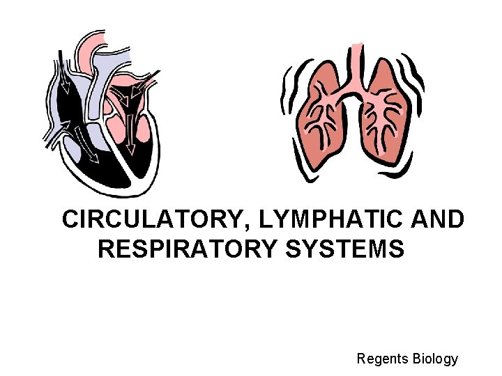 CIRCULATORY, LYMPHATIC AND RESPIRATORY SYSTEMS Regents Biology 