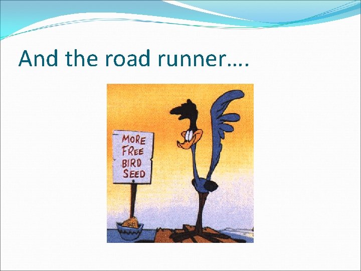 And the road runner…. 