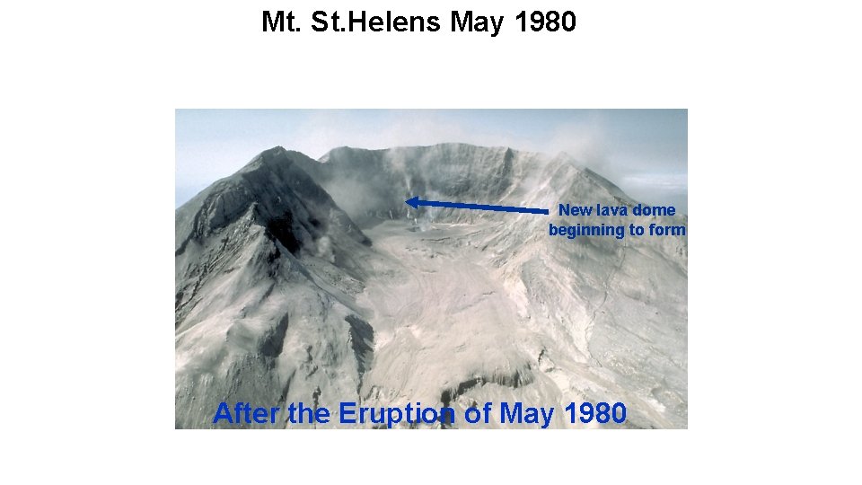 Mt. St. Helens May 1980 New lava dome beginning to form After the Eruption