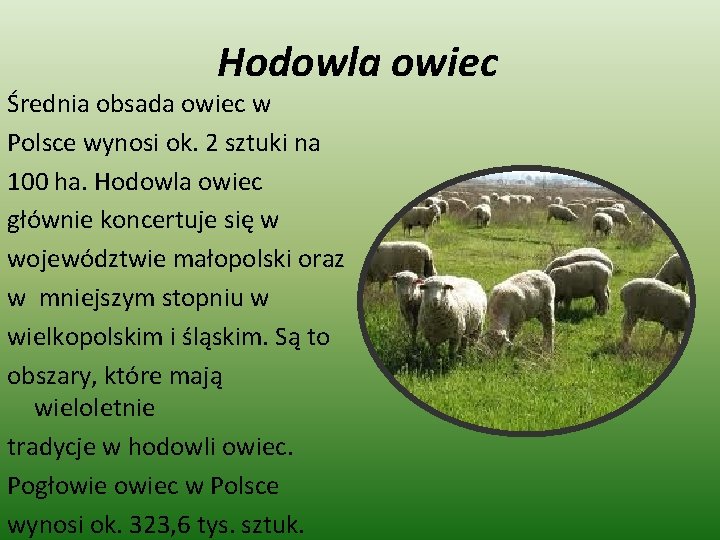 Hodowla owiec Średnia obsada owiec w Polsce wynosi ok. 2 sztuki na 100 ha.