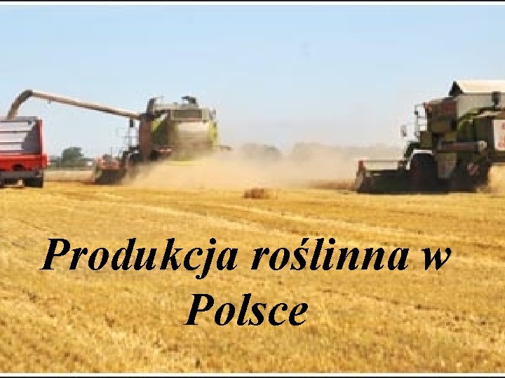 Produkcja roślinna w Polsce 