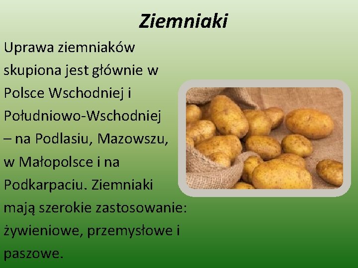 Ziemniaki Uprawa ziemniaków skupiona jest głównie w Polsce Wschodniej i Południowo-Wschodniej – na Podlasiu,