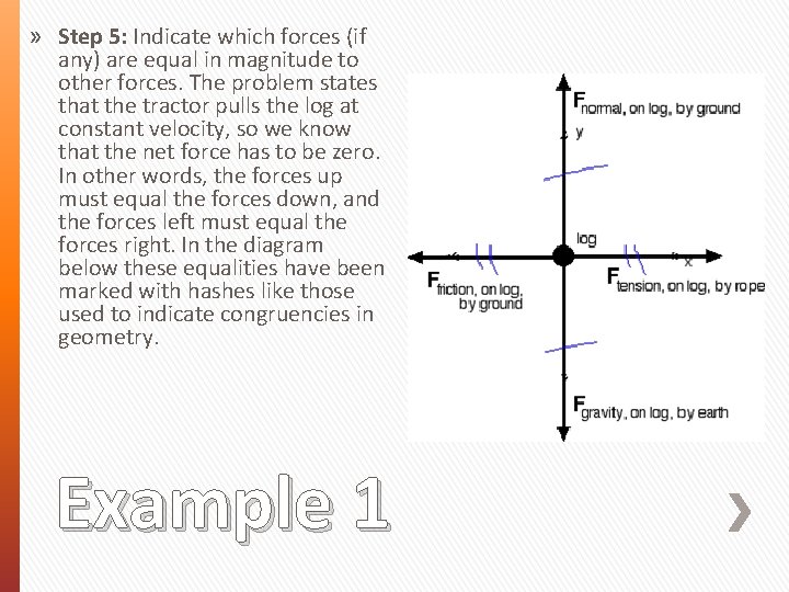 » Step 5: Indicate which forces (if any) are equal in magnitude to other