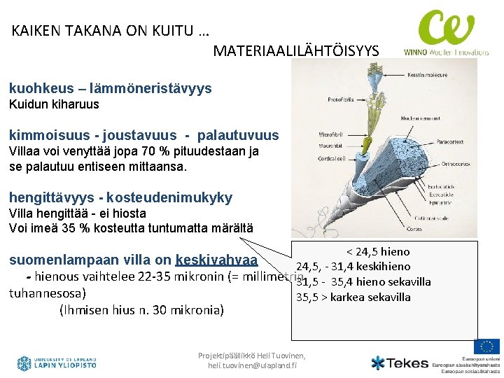 KAIKEN TAKANA ON KUITU … MATERIAALILÄHTÖISYYS kuohkeus – lämmöneristävyys Kuidun kiharuus kimmoisuus - joustavuus