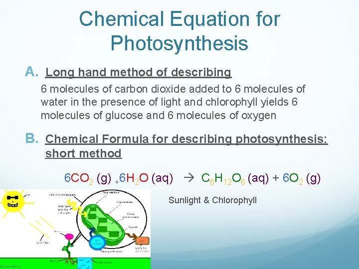 Chemical Equation for Photosynthesis A. Long hand method of describing 6 molecules of carbon