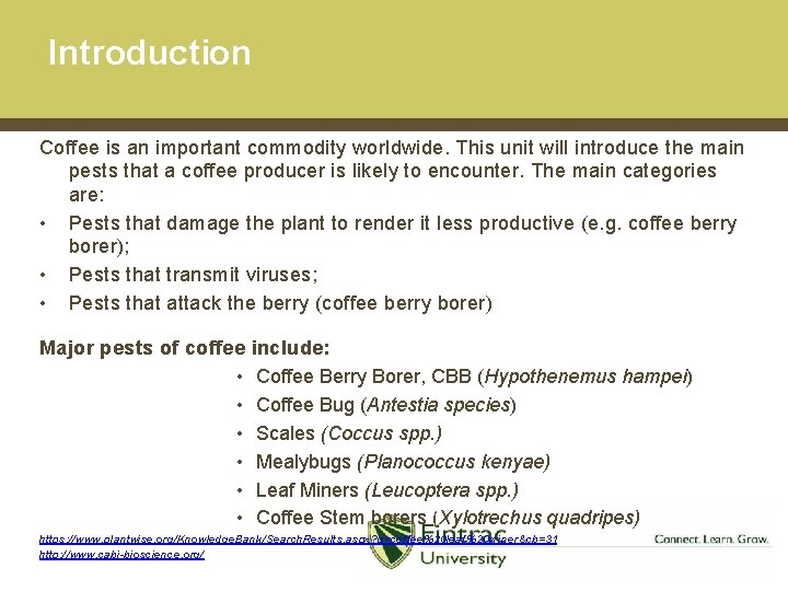 Introduction Coffee is an important commodity worldwide. This unit will introduce the main pests
