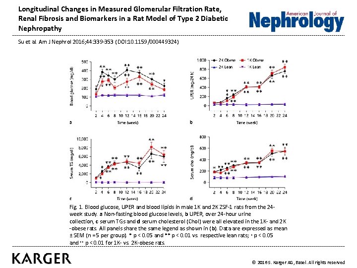 Longitudinal Changes in Measured Glomerular Filtration Rate, Renal Fibrosis and Biomarkers in a Rat