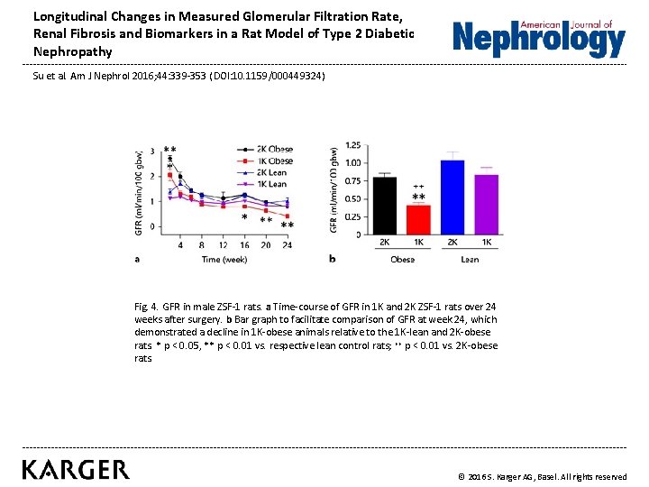Longitudinal Changes in Measured Glomerular Filtration Rate, Renal Fibrosis and Biomarkers in a Rat